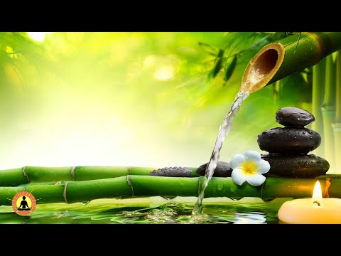 ? Relaxing Music 24/7, Stress Relief Music, Sleep Music, Meditation Music, Study, Calming Music